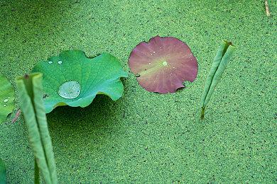 《痛苦地狱》未分级版从Steam玩家库中消失
